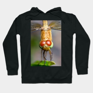 Unique and organic photo of a Dragonfly Hoodie